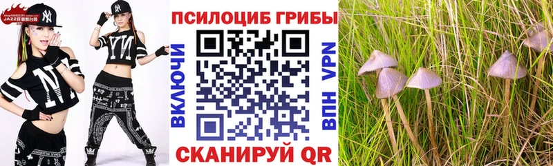Галлюциногенные грибы MAGIC MUSHROOMS  мега онион  Палласовка  наркотики 