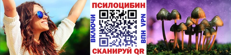Псилоцибиновые грибы Psilocybe Палласовка